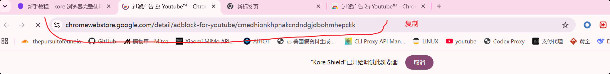 从 Chrome 网上应用店复制扩展链接